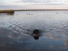 DSCN0221