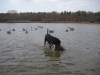 DSCN0251