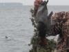 DSCN0377